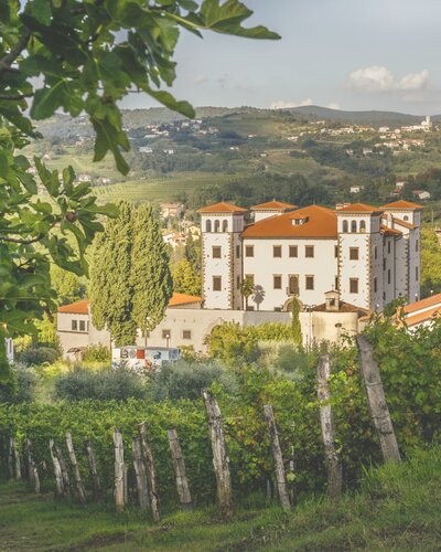 Mušič – Landscapes of the Body at Dobrovo Castle