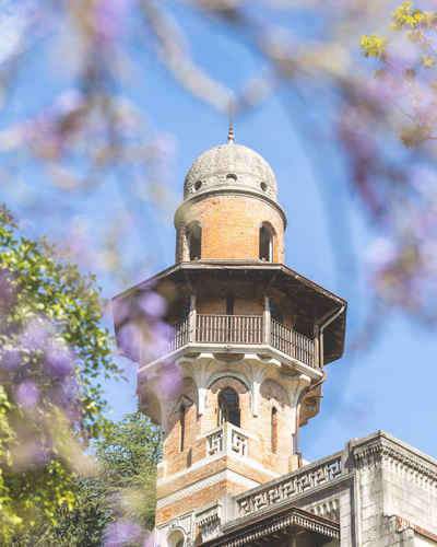 Tree Orchestra / Symfonic Forest Tree Orchestra / Symfonic Forest