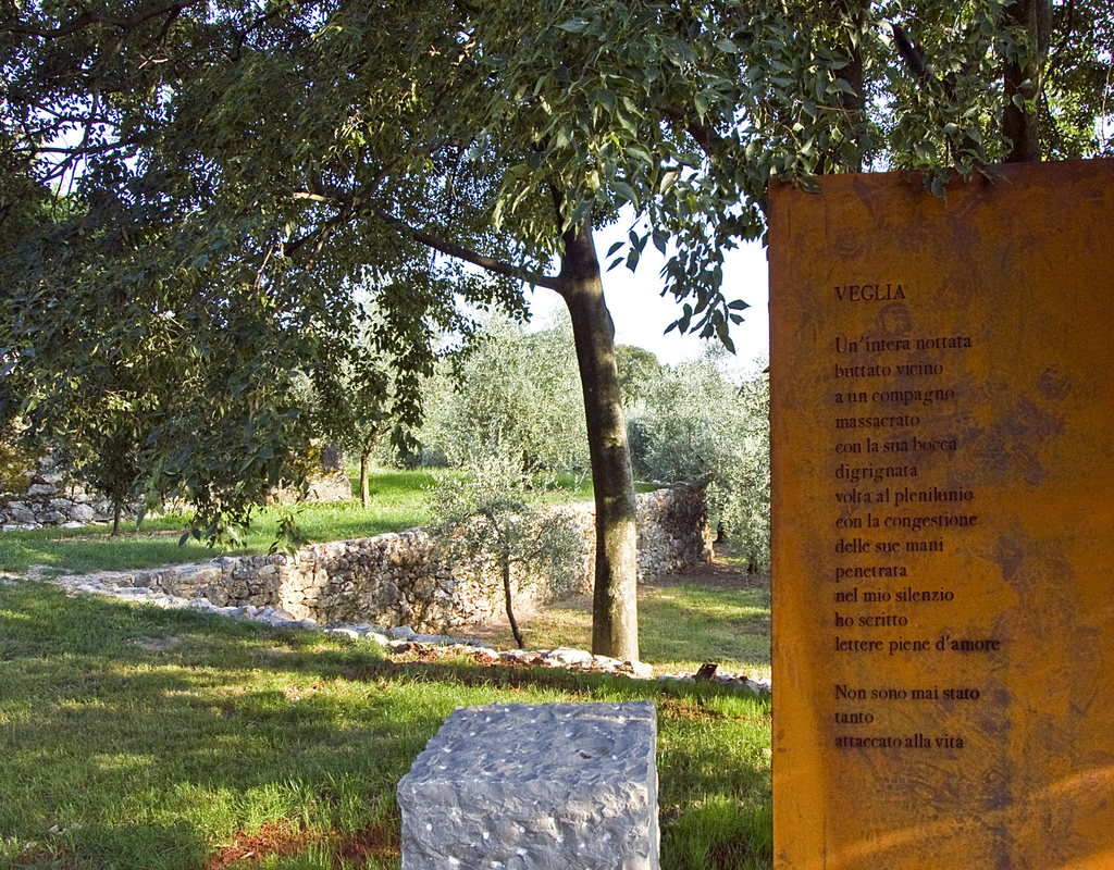 Parco Ungaretti (6) Bis