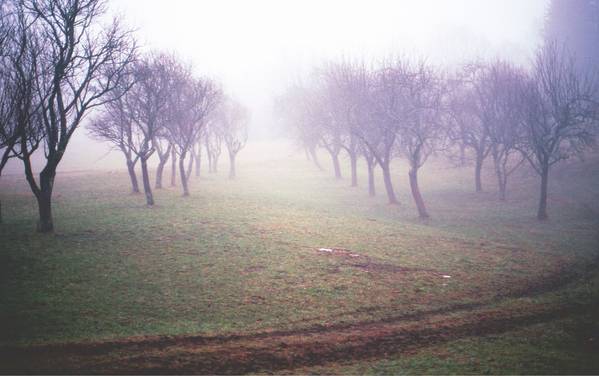 Atlas of Forgotten Orchards