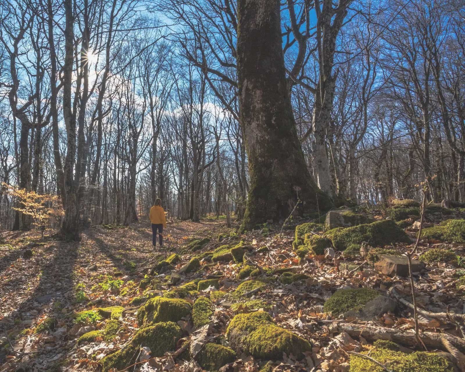 Sito archeologico Ajdovščina sopra Rodik