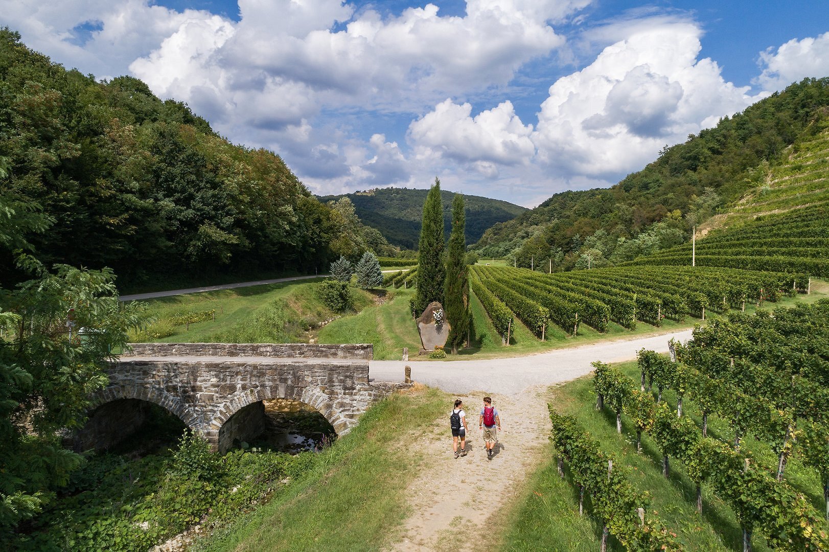 Marcia di San Martino a Brda