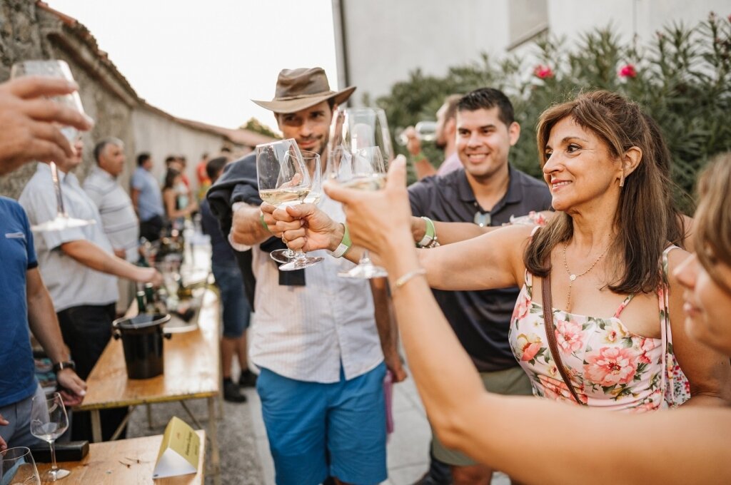 Festival dei vini della Valle del Vipava 