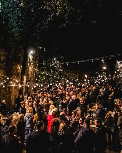 Festival del Vino Novello sul Carso