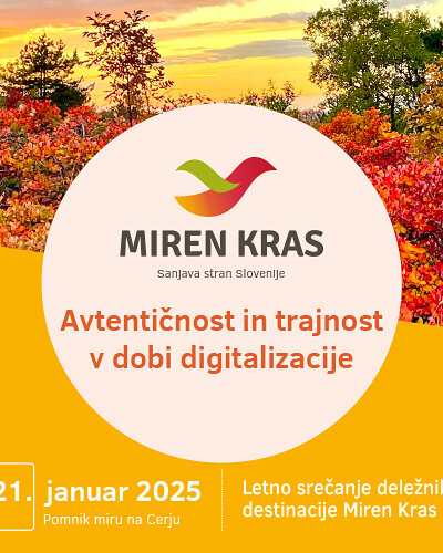 RIUNIONE DEGLI STAKEHOLDER DELLA DESTINAZIONE MIREN KRAS