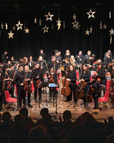 Bazilika za vse - Inkluzivni orkester Ami Ritmea ob 17.30