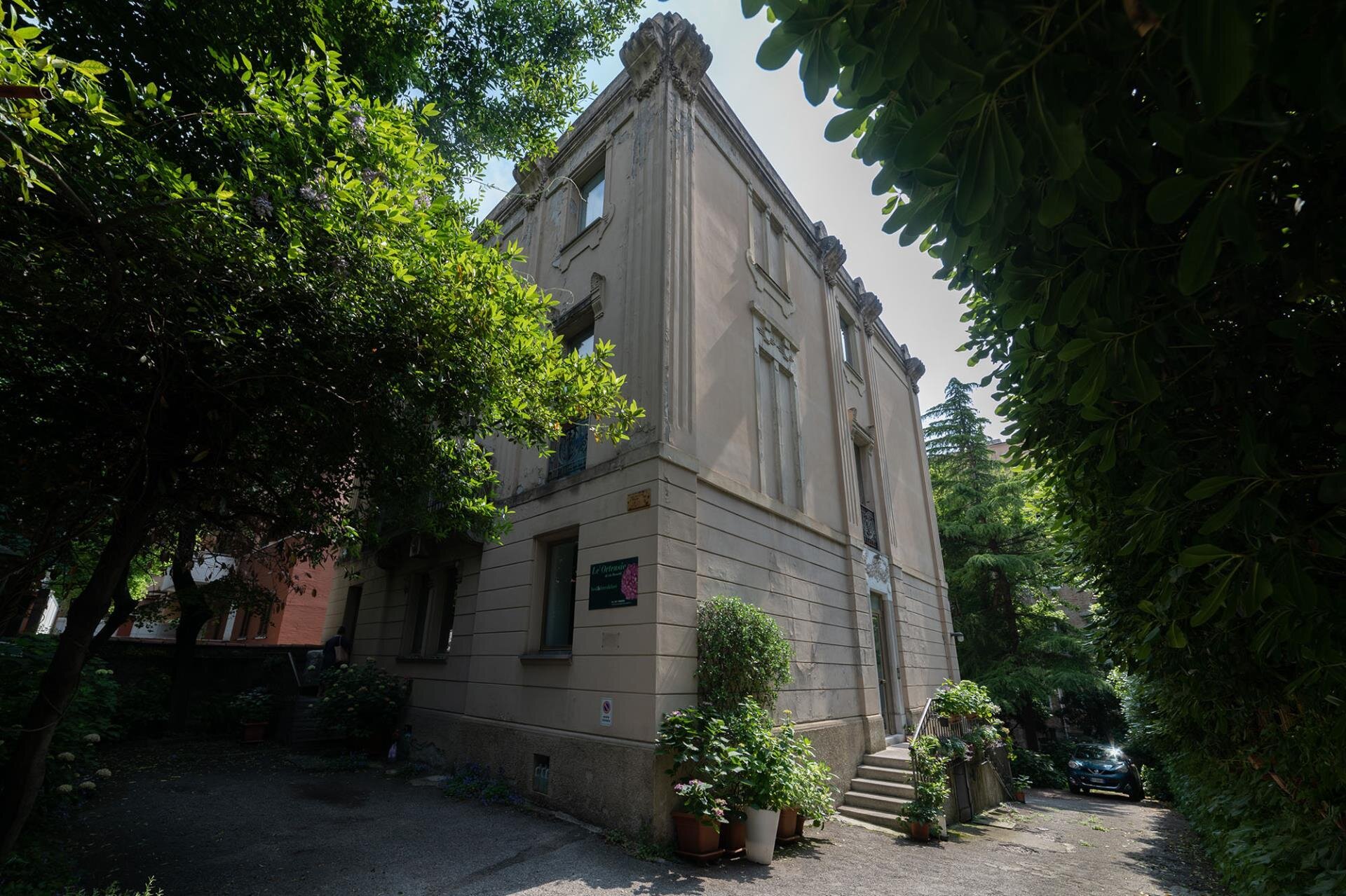 LE ORTENSIE DI VIA ROSSETTI