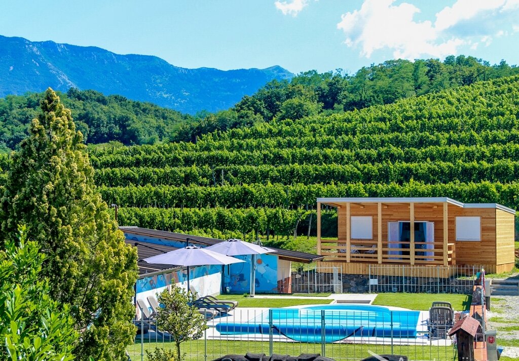 Saksida wine & camping resort