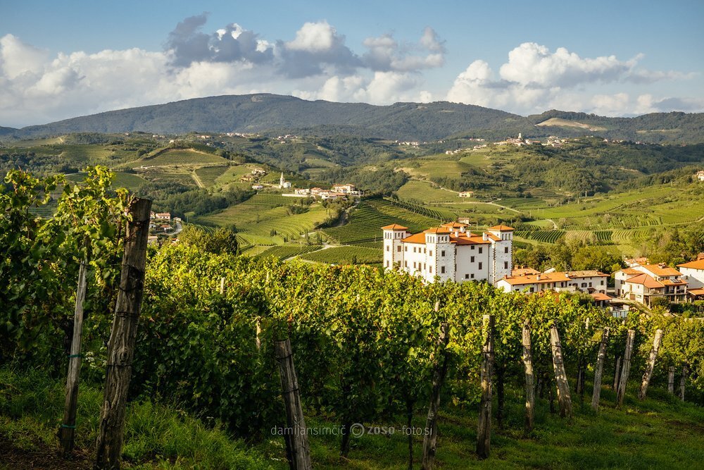 Castello di Dobrovo