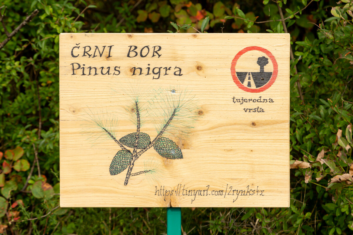 The Cerje educational trail The Cerje educational trail