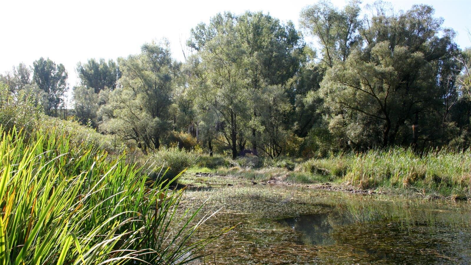 Naravni rezervat Doberdobsko in Prelosno jezero