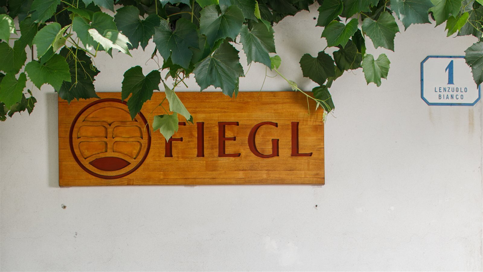 Fiegl Tfvg 164563