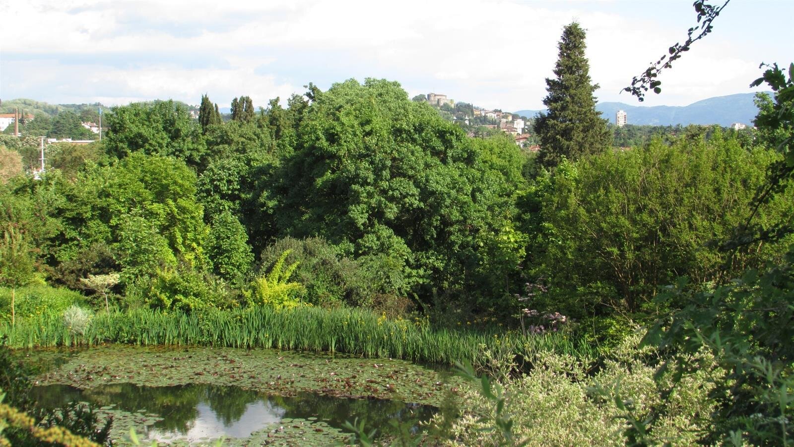 Lucio Viatori Garden