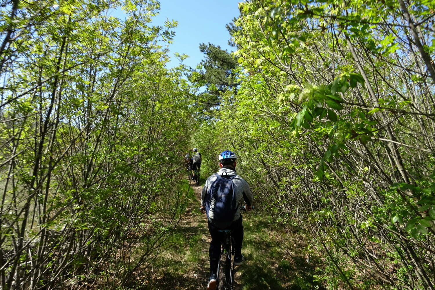 Gremo zeleno: guided bike tours