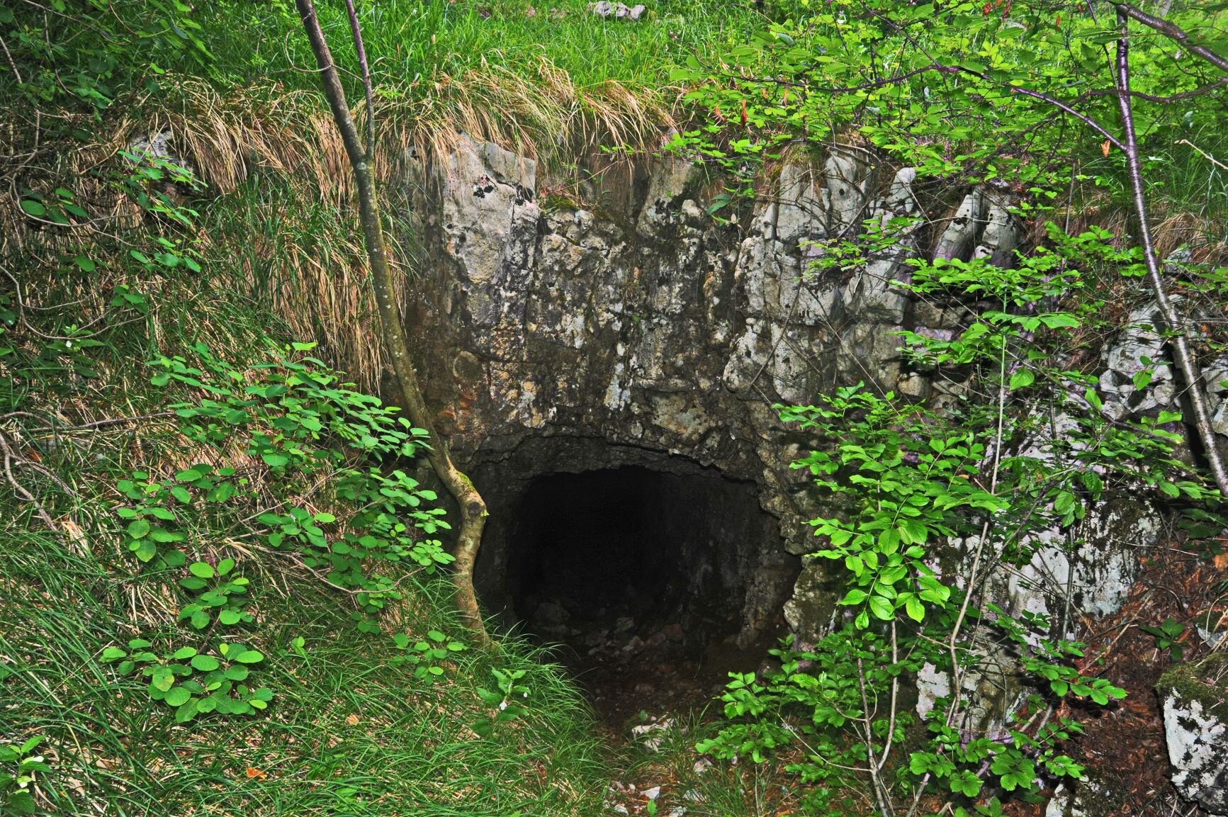 Lojzova jama Cave Lojzova jama Cave