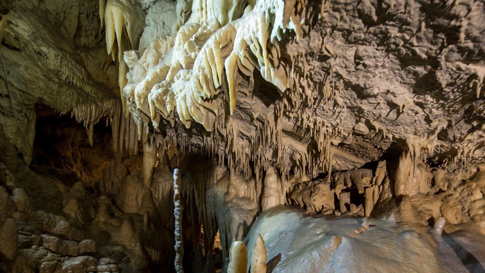 Nuova di Villanova Cave