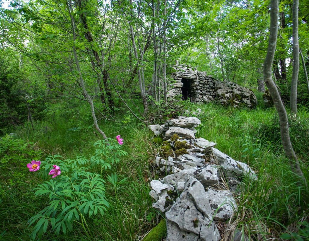 Kraški suhi zid in pastirske hiške