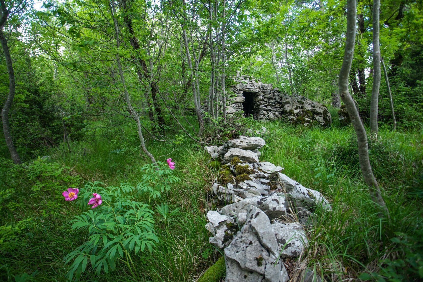 Kraški suhi zid in pastirske hiške