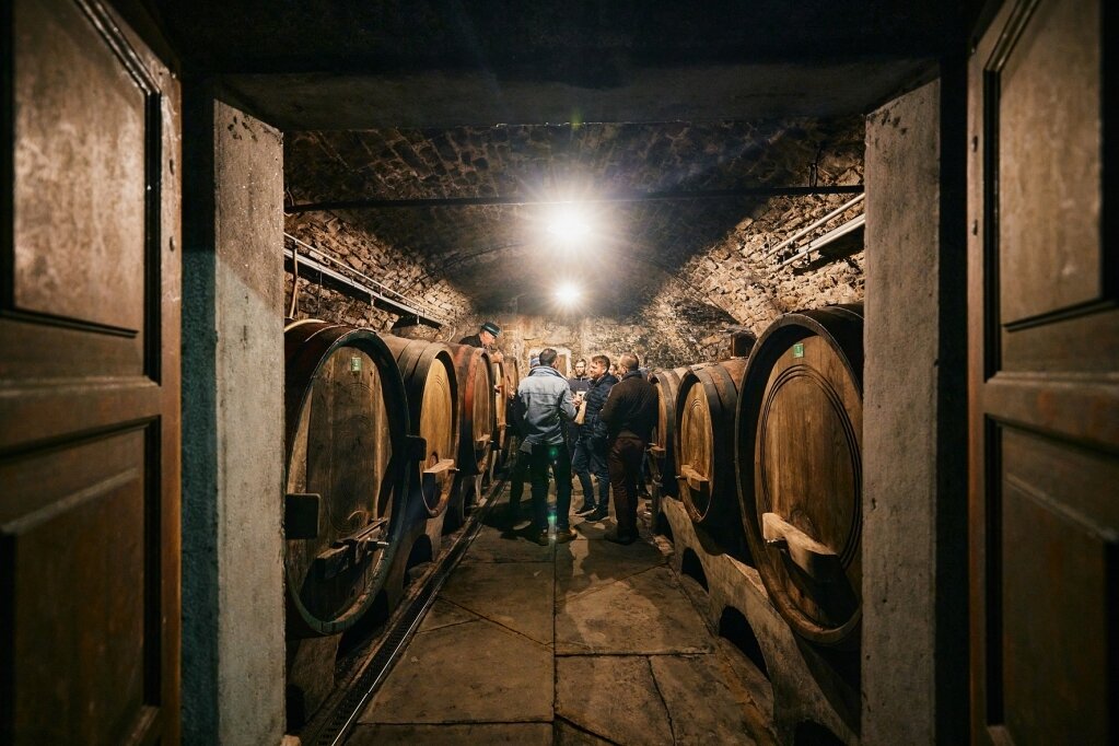 Wine Cellars