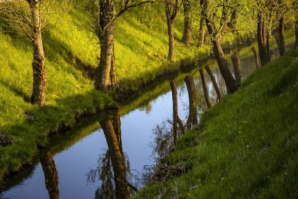 Files 12071 Cache C Prw Trees With Reflections In Lijak River Manjsa C Prw