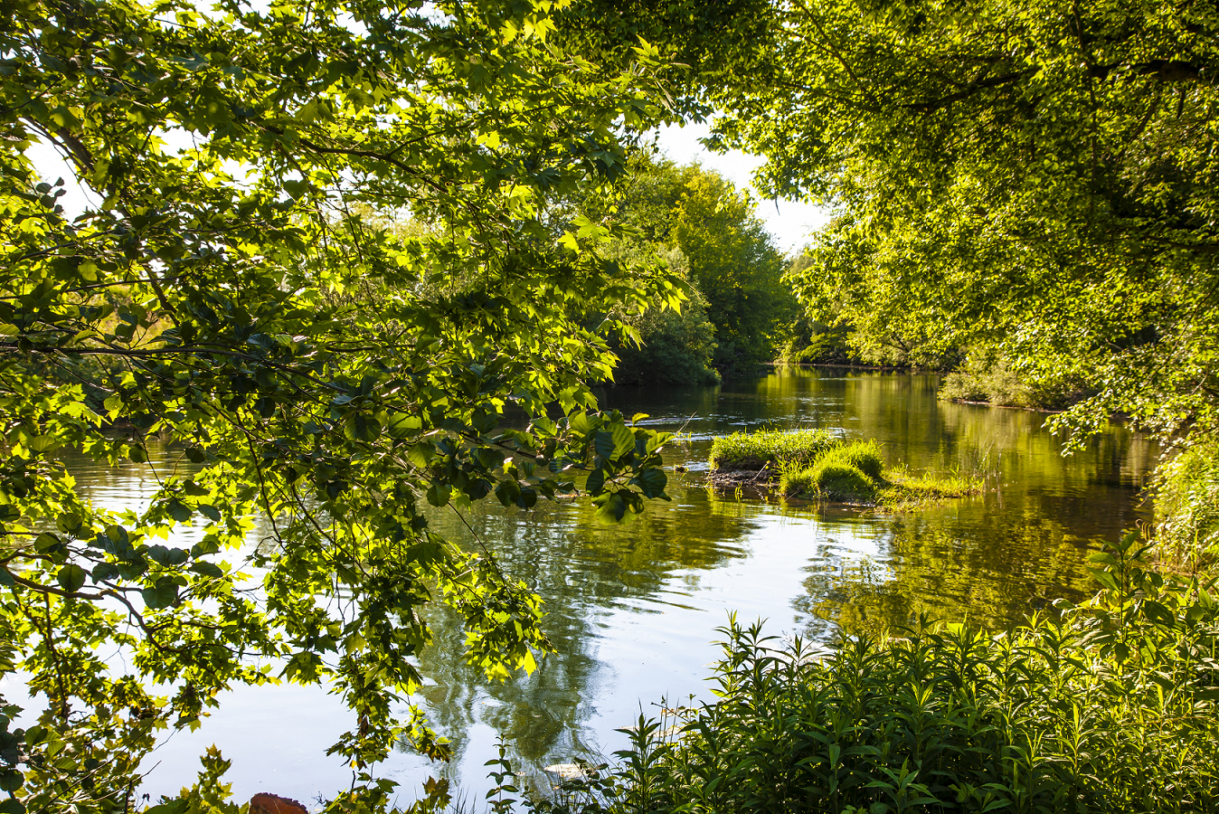 The colourful world of the Vipava river basin - thematic learning path