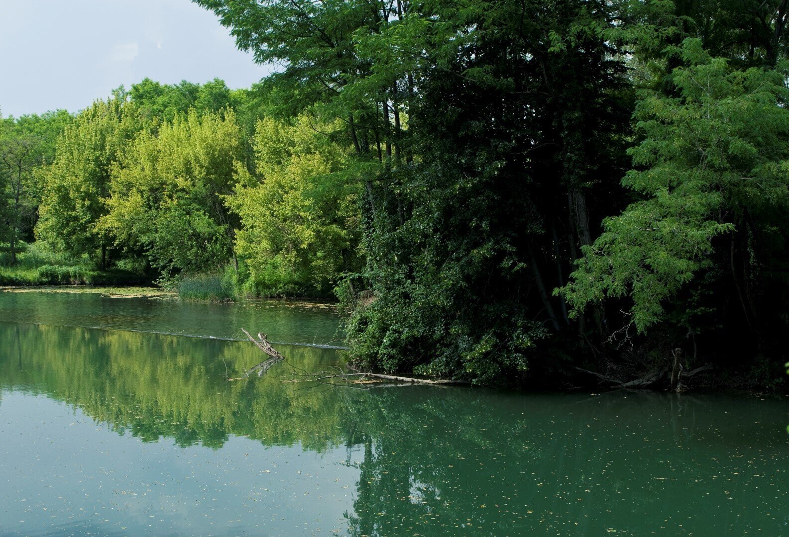 Fishing on the Vipava River