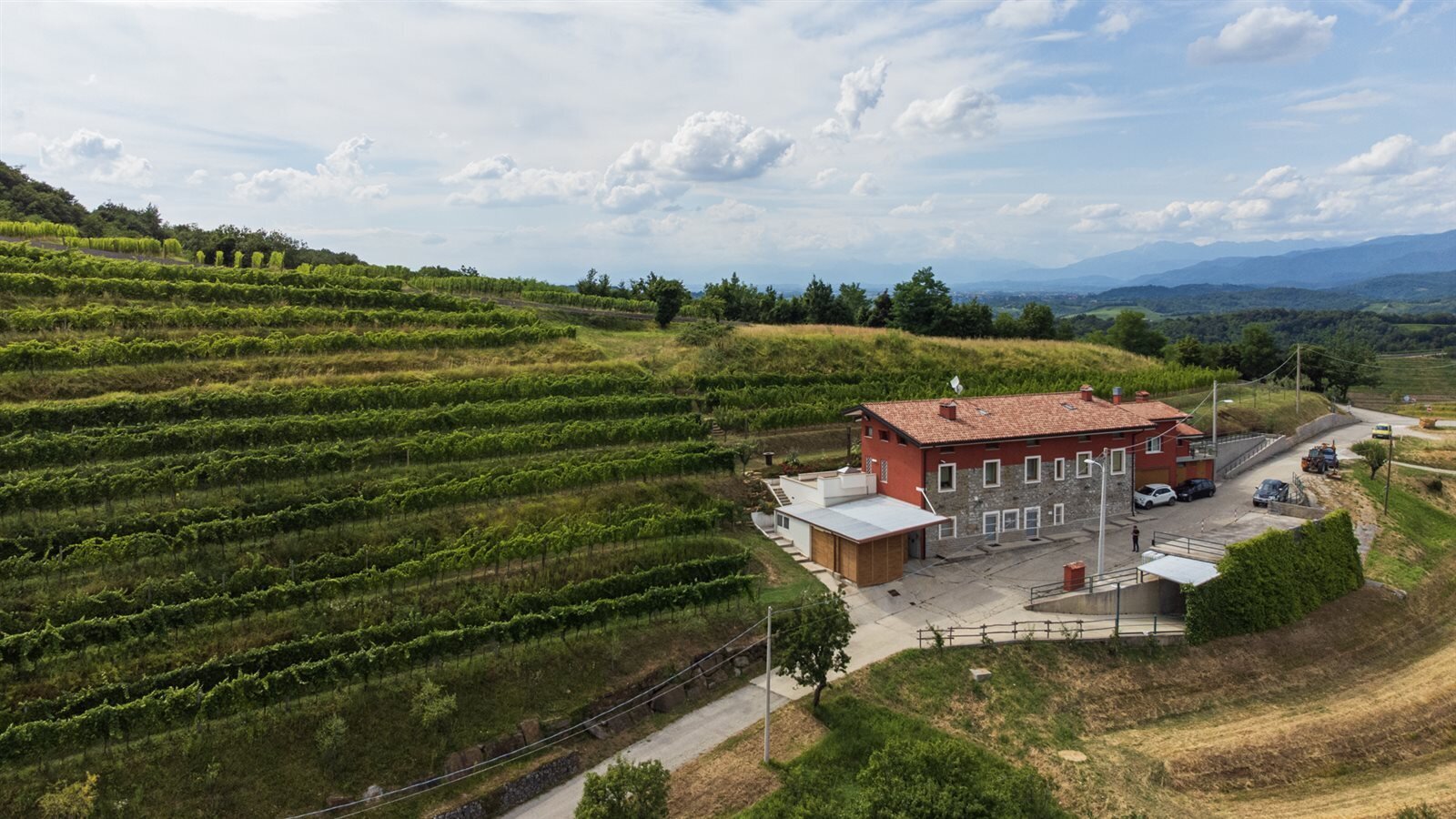 Tenuta Stella Tfvg 156815