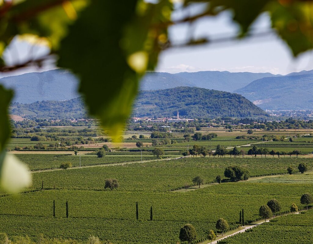 Tenuta Villanova