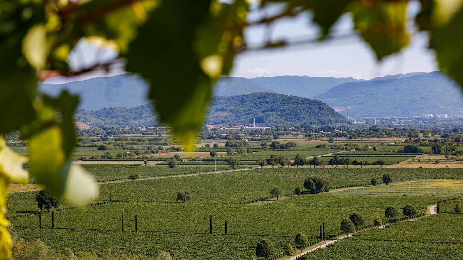 Tenuta Villanova