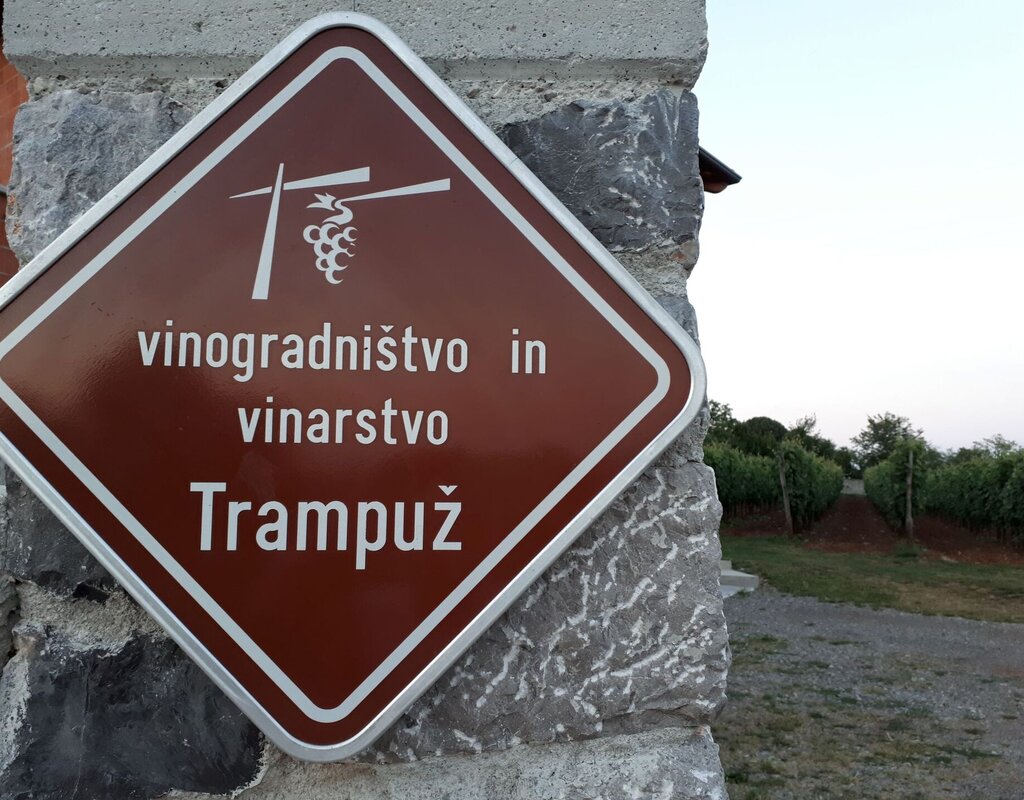 Upload Gallery 75 Vinogradnistvo Trampuz Bojan Trampuz 1m