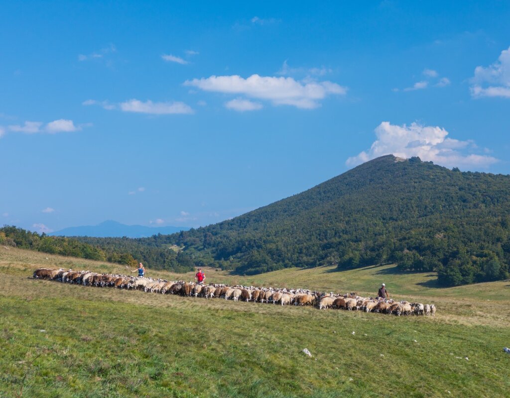 Vremščica