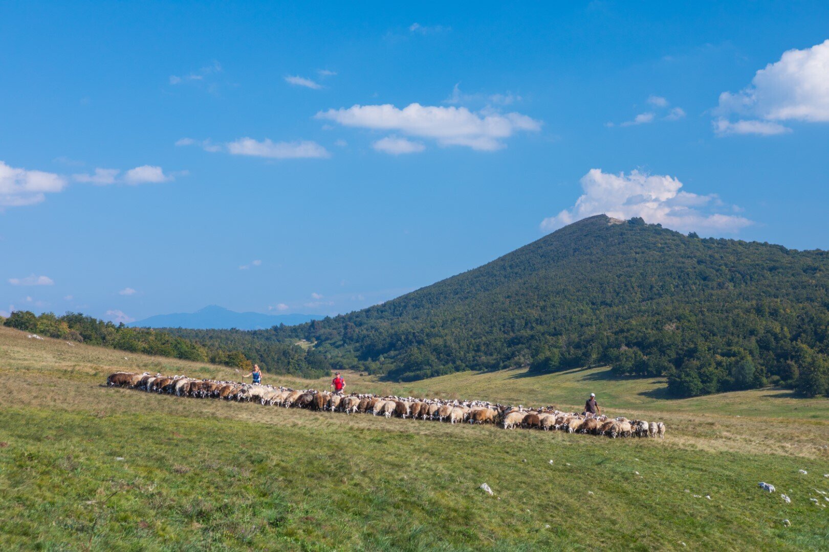 Vremščica